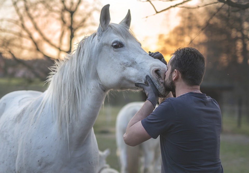 Equicoaching : pourquoi elle intéresse tellement de personnes ? Equicoaching : pourquoi elle intéresse tellement de personnes ?